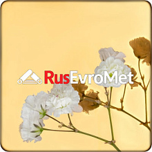 Декоративная нержавеющая сталь  Mirror Gold Royal